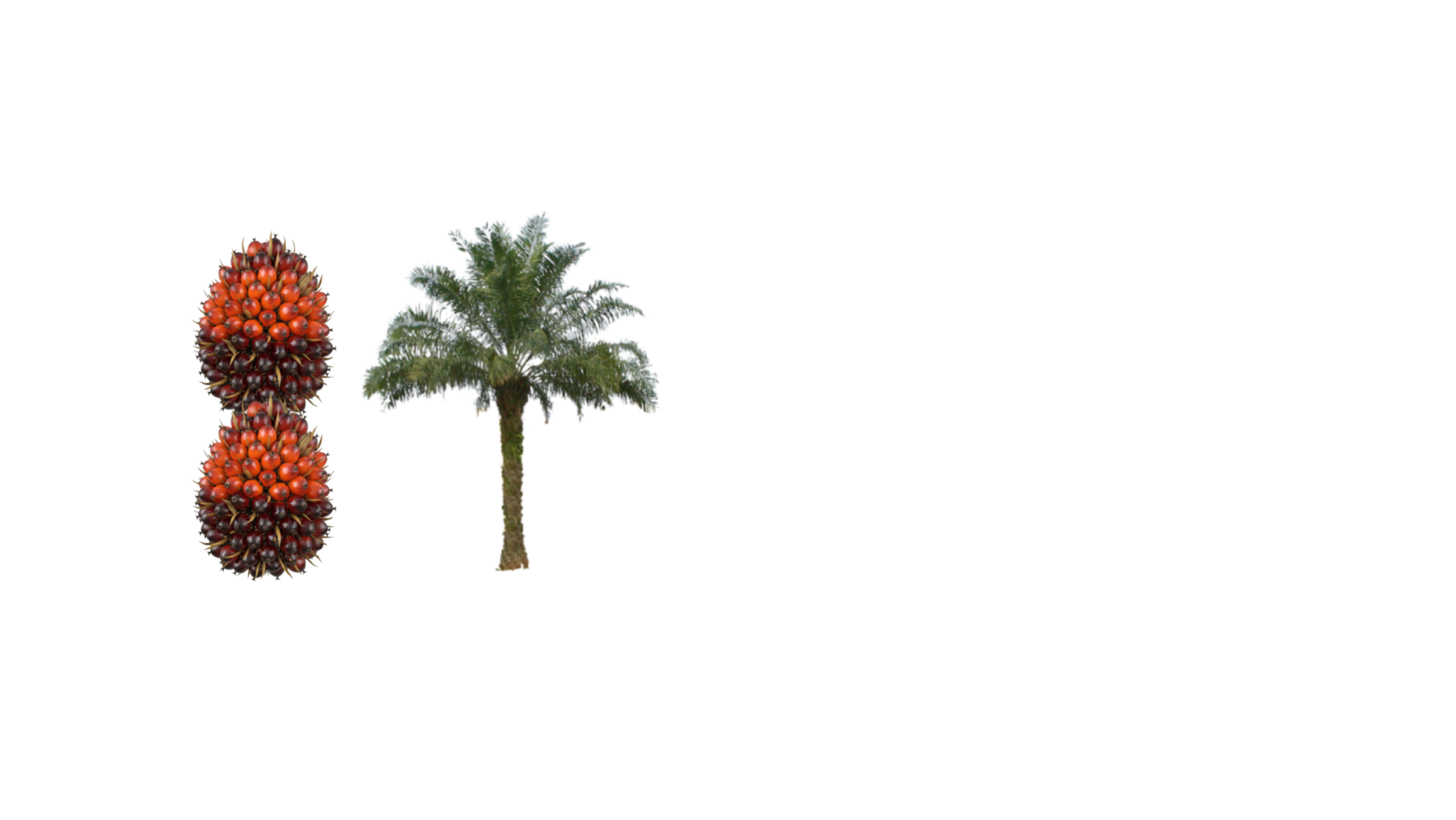 Logo Utama — Putih