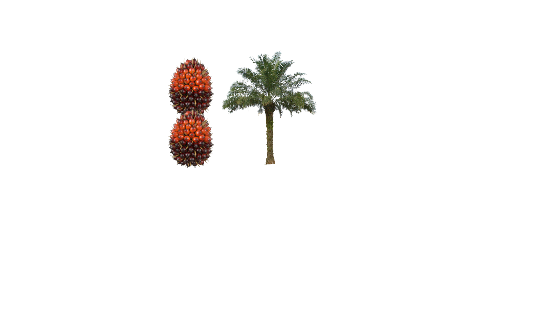 Logo Sekunder — Putih