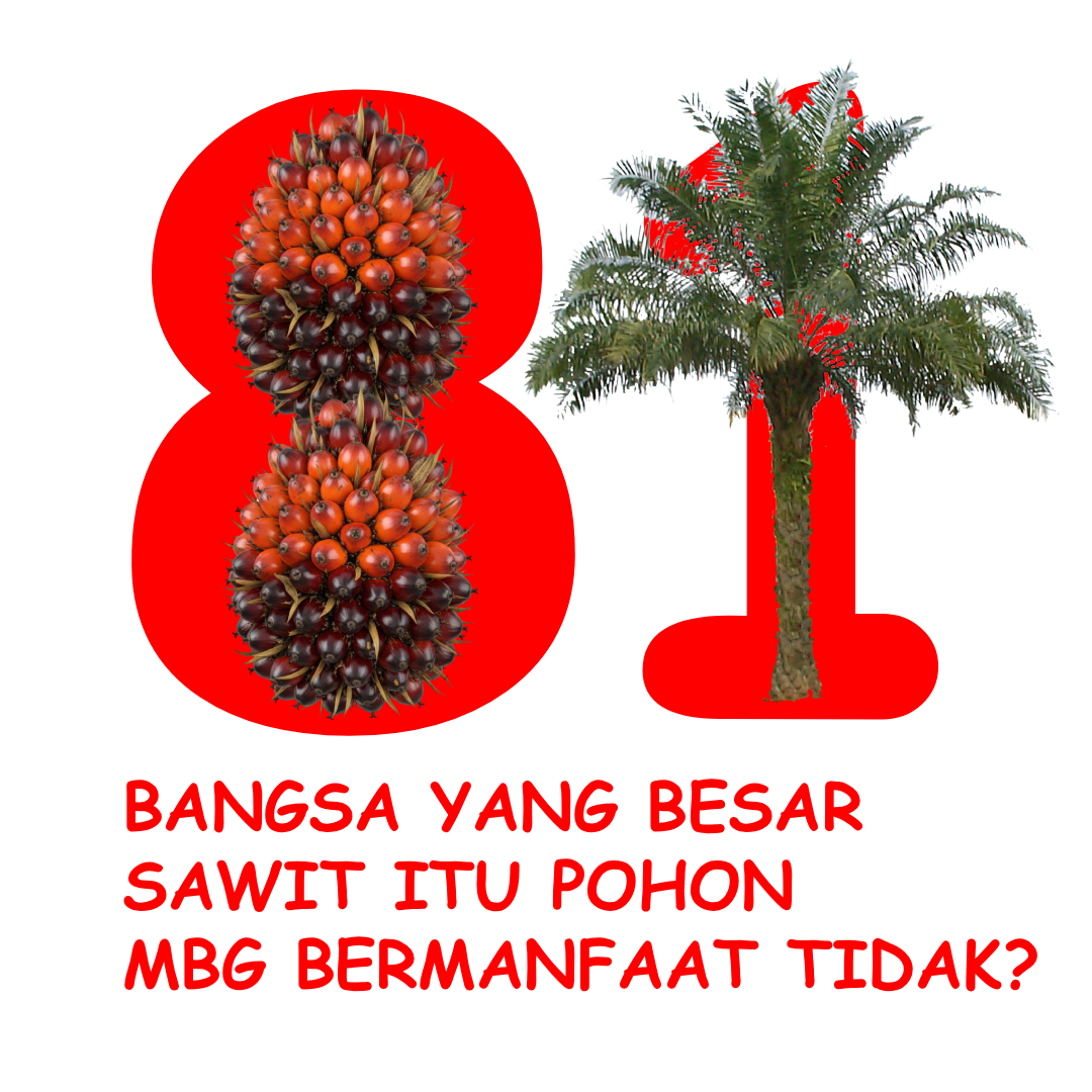Square — Putih (JPEG)